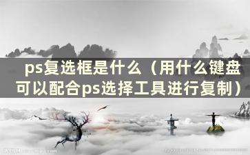 ps复选框是什么（用什么键盘可以配合ps选择工具进行复制）