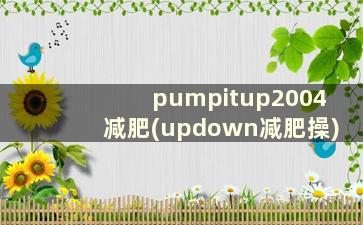 pumpitup2004减肥(updown减肥操)