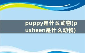 puppy是什么动物(pusheen是什么动物)