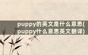 puppy的英文是什么意思(puppy什么意思英文翻译)