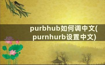 purbhub如何调中文(purnhurb设置中文)