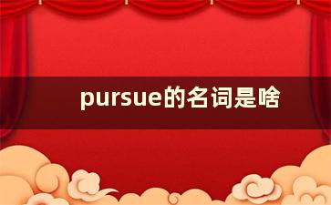 pursue的名词是啥