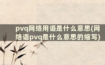 pvq网络用语是什么意思(网络语pvq是什么意思的缩写)