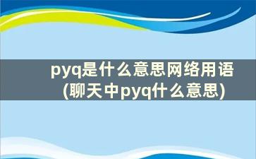 pyq是什么意思网络用语(聊天中pyq什么意思)