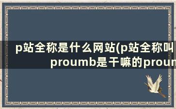 p站全称是什么网站(p站全称叫proumb是干嘛的proumb)