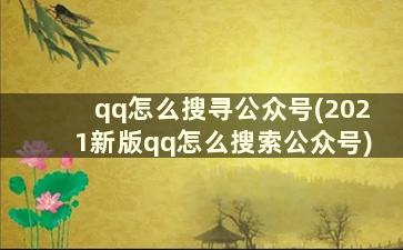 qq怎么搜寻公众号(2021新版qq怎么搜索公众号)