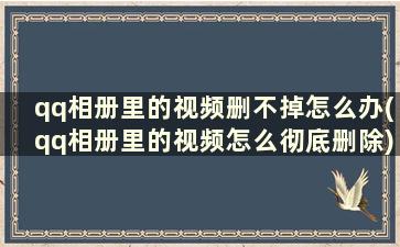 qq相册里的视频删不掉怎么办(qq相册里的视频怎么彻底删除)