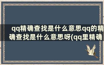 qq精确查找是什么意思qq的精确查找是什么意思呀(qq里精确查找什么意思)