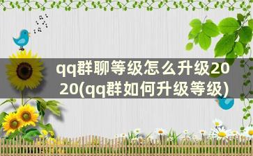 qq群聊等级怎么升级2020(qq群如何升级等级)