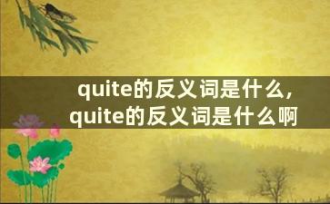 quite的反义词是什么,quite的反义词是什么啊