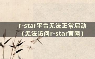 r-star平台无法正常启动（无法访问r-star官网）