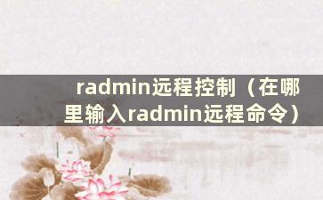 radmin远程控制（在哪里输入radmin远程命令）