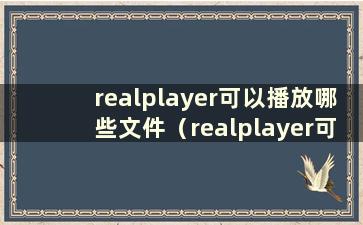 realplayer可以播放哪些文件（realplayer可以播放mp3）