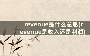 revenue是什么意思(revenue是收入还是利润)