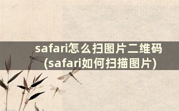 safari怎么扫图片二维码(safari如何扫描图片)