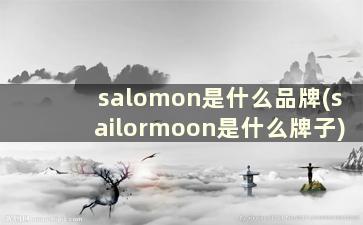 salomon是什么品牌(sailormoon是什么牌子)