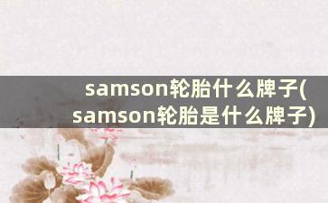 samson轮胎什么牌子(samson轮胎是什么牌子)