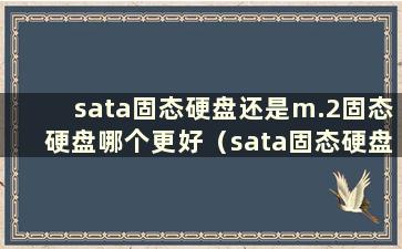 sata固态硬盘还是m.2固态硬盘哪个更好（sata固态硬盘还是m.2固态硬盘）