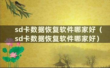 sd卡数据恢复软件哪家好（sd卡数据恢复软件哪家好）