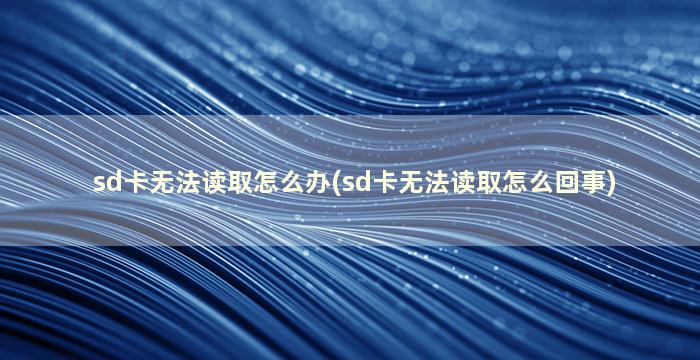 sd卡无法读取怎么办(sd卡无法读取怎么回事)