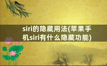 siri的隐藏用法(苹果手机siri有什么隐藏功能)