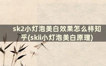 sk2小灯泡美白效果怎么样知乎(skii小灯泡美白原理)