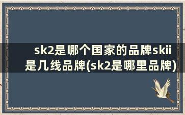 sk2是哪个国家的品牌skii是几线品牌(sk2是哪里品牌)