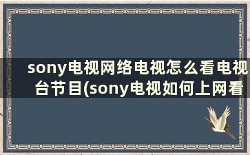 sony电视网络电视怎么看电视台节目(sony电视如何上网看电视)