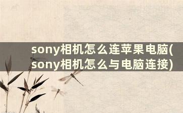 sony相机怎么连苹果电脑(sony相机怎么与电脑连接)