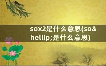 sox2是什么意思(so…是什么意思)