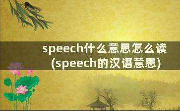 speech什么意思怎么读(speech的汉语意思)