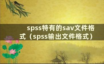 spss特有的sav文件格式（spss输出文件格式）