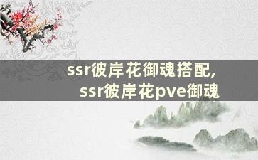 ssr彼岸花御魂搭配,ssr彼岸花pve御魂