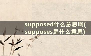 supposed什么意思啊(supposes是什么意思)