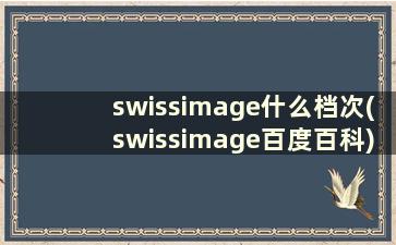 swissimage什么档次(swissimage百度百科)