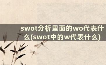 swot分析里面的wo代表什么(swot中的w代表什么)