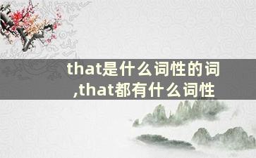 that是什么词性的词,that都有什么词性