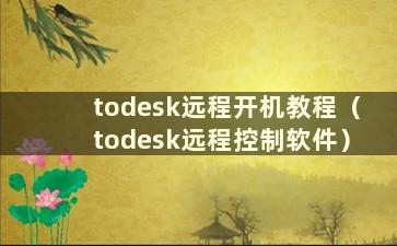 todesk远程开机教程（todesk远程控制软件）