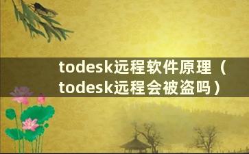 todesk远程软件原理（todesk远程会被盗吗）