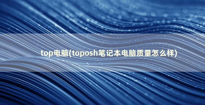 top电脑(toposh笔记本电脑质量怎么样)