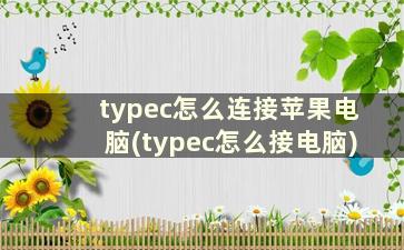 typec怎么连接苹果电脑(typec怎么接电脑)