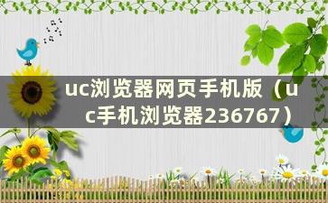 uc浏览器网页手机版（uc手机浏览器236767）