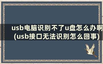 usb电脑识别不了u盘怎么办啊(usb接口无法识别怎么回事)