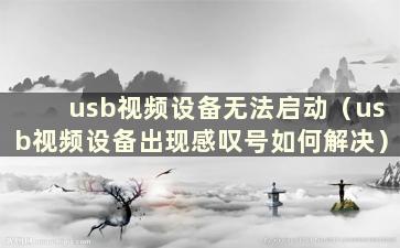 usb视频设备无法启动（usb视频设备出现感叹号如何解决）