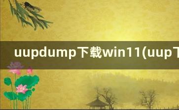 uupdump下载win11(uup下载win10)