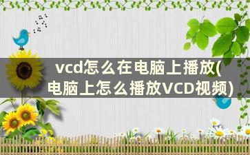 vcd怎么在电脑上播放(电脑上怎么播放VCD视频)