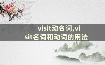 visit动名词,visit名词和动词的用法