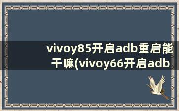 vivoy85开启adb重启能干嘛(vivoy66开启adb是什么意思)