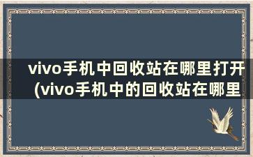 vivo手机中回收站在哪里打开(vivo手机中的回收站在哪里找)