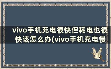 vivo手机充电很快但耗电也很快该怎么办(vivo手机充电慢怎么回事还费电)